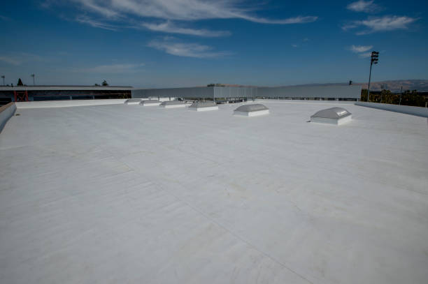 Best Metal Roofing Installation  in Wailua, HI