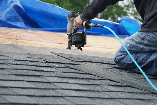 Best Roof Moss and Algae Removal  in Wailua, HI
